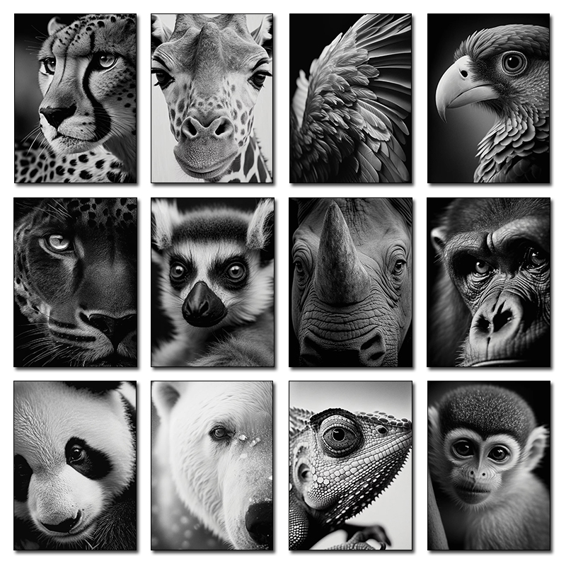 Photography Close Up - Wildlife Animals Photography Posters Animal Close-Up