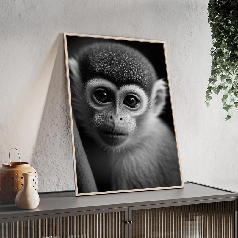 Wildlife Animals Photography P - đánh giá và giá Photography Close Up