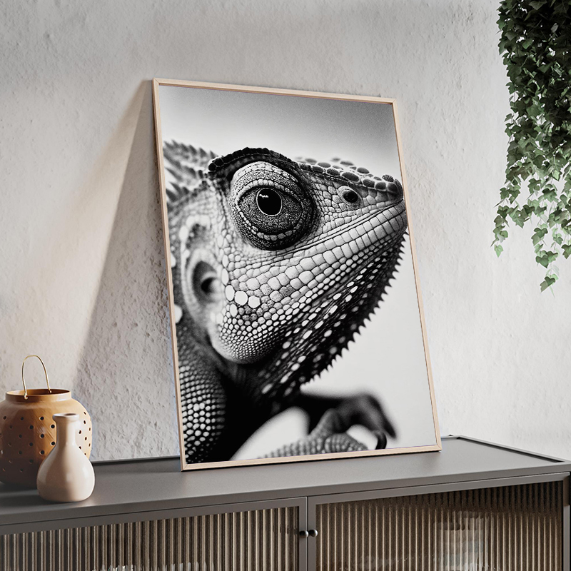 Wildlife Animals Photography P - đánh giá và giá Photography Close Up
